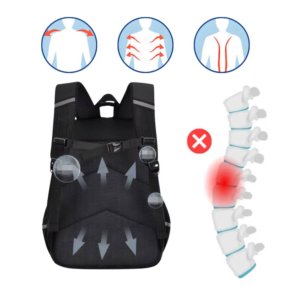 SteelRex® — Confort